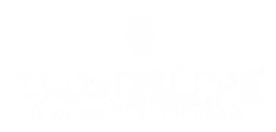Goodslice
